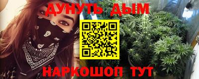 тгк Бийск