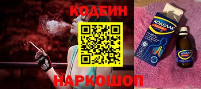 тгк Бийск
