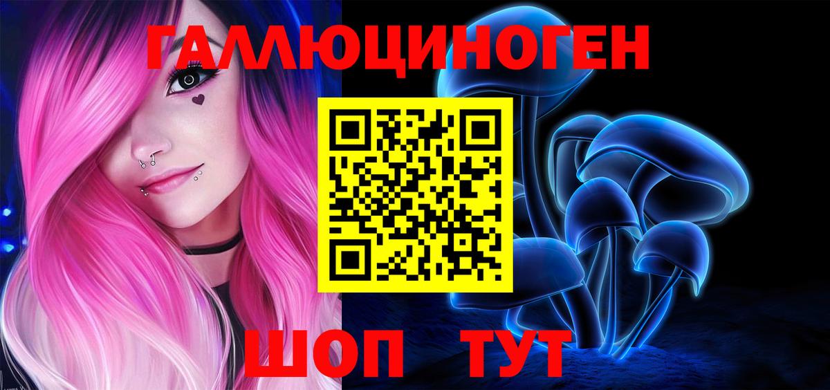 Каменка  Галлюциногенные грибы GOLDEN TEACHER  Вход с VPN 