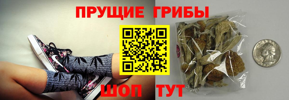 Галлюциногенные грибы MAGIC MUSHROOMS Каменка